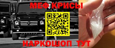 спайс Кингисепп