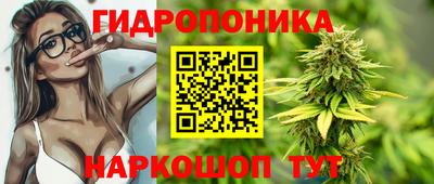 индика Кимры