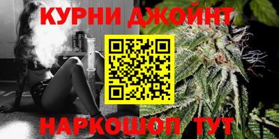 спайс Кингисепп
