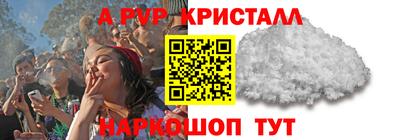 спайс Кингисепп