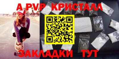 спайс Кингисепп