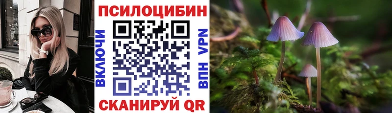 Псилоцибиновые грибы ЛСД Чебоксары