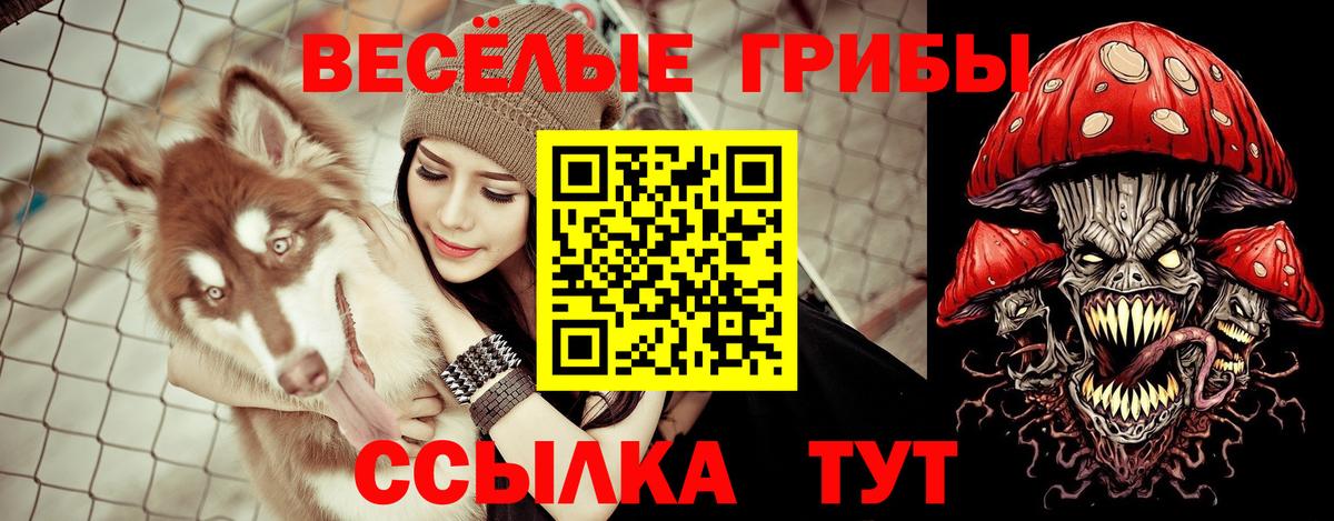 Галлюциногенные грибы Cubensis Чебоксары